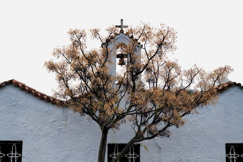 Saint Onuphrius