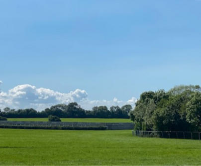 View with fence_edited_edited_edited.png