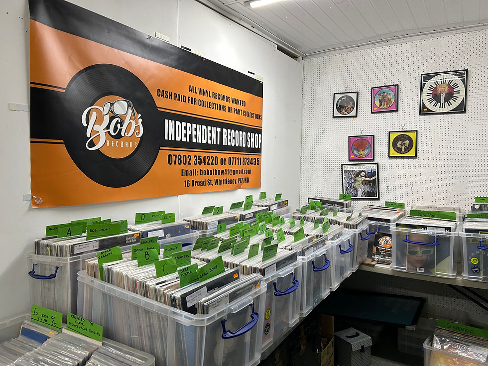 Vinyl records