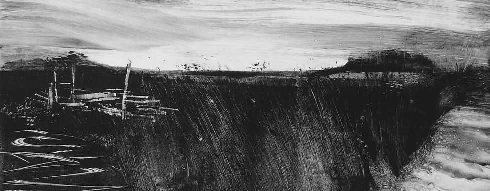Wetlands Stack