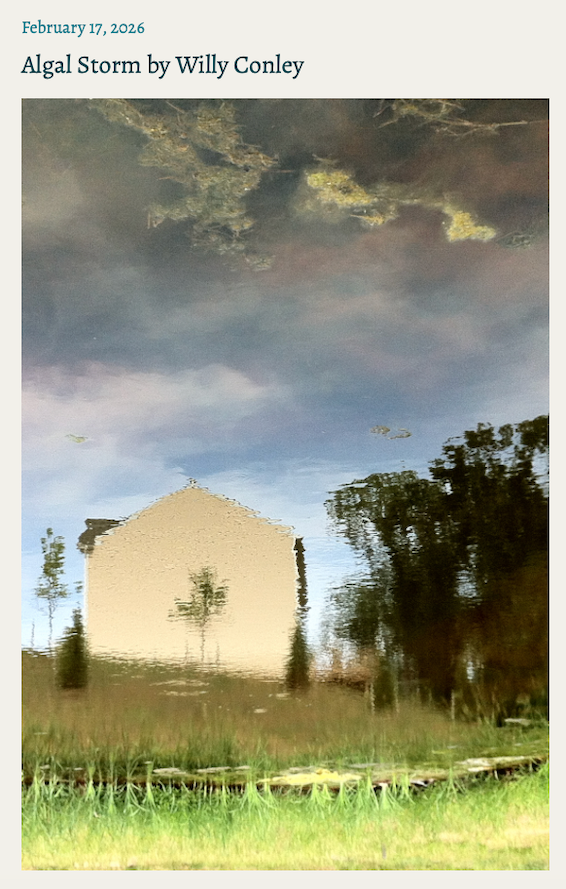 February Photo Finds a January Home