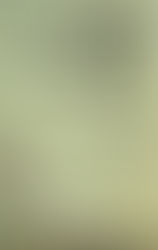 "Naturalization" Produced in Rochester, NY