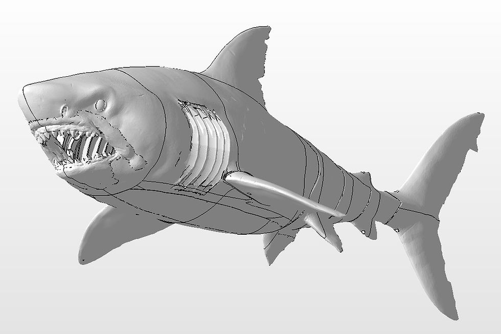 Thumbnail: 38 Inch Long RC Shark - STL File Package