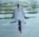 Thumbnail: US Permit/Thresher Class Submarine Kit in 1/96 scale