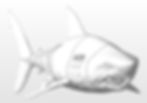 Thumbnail: 38 Inch Long RC Shark - STL File Package