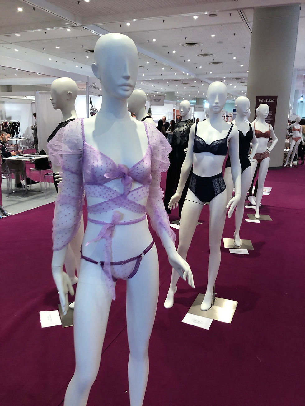 A display of mannequins wearing lingerie at a n exhibit. One mannequin is wearing a pink sheer dot mesh bra wrapped and tied with a matching mesh panty. The mannequin next to it is wearing a black bra and a matching high waisted panty.