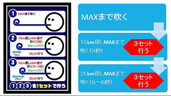 カメレオンEX使用方法