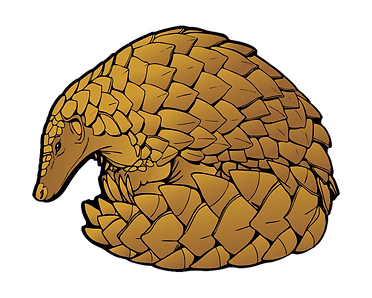 BROWN PANGOLIN.png