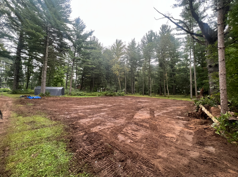 Cleared land to remove invasive species using a skid steer. 