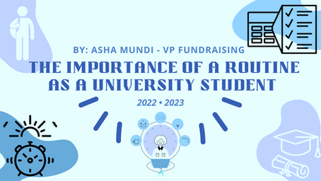 The Importance of a Routine as a University
