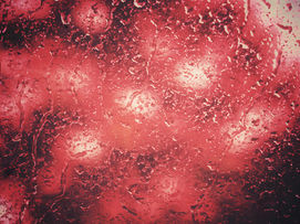 Sebby Kowal – Glowing Paradise [CHITRA055]