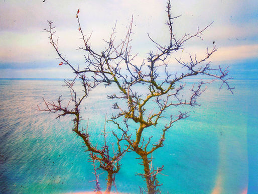 Toni Dimitrov – The Myth of the Machine [CHITRA020] 