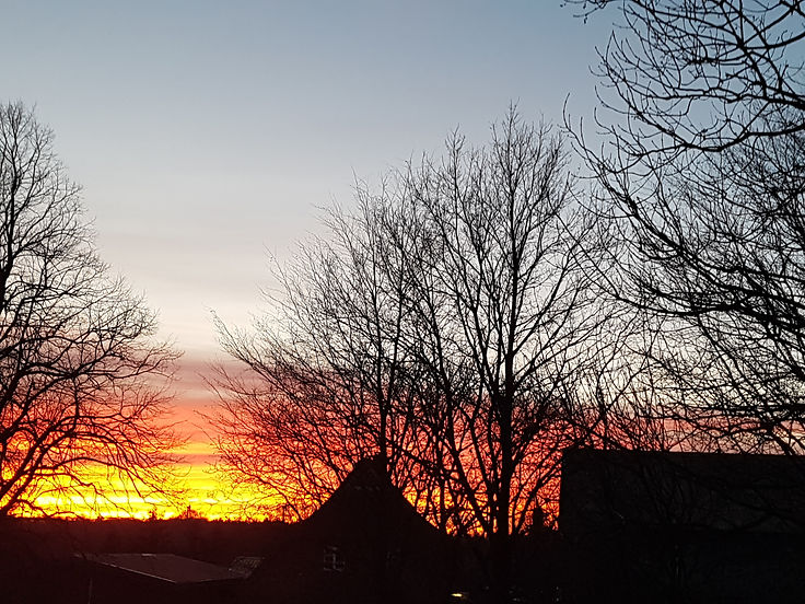 20190103_163533.jpg