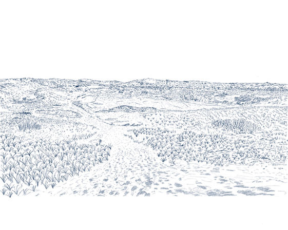 illustration of the dune shacks trail 