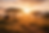 WEBSITE BANNER EDIT MM.png