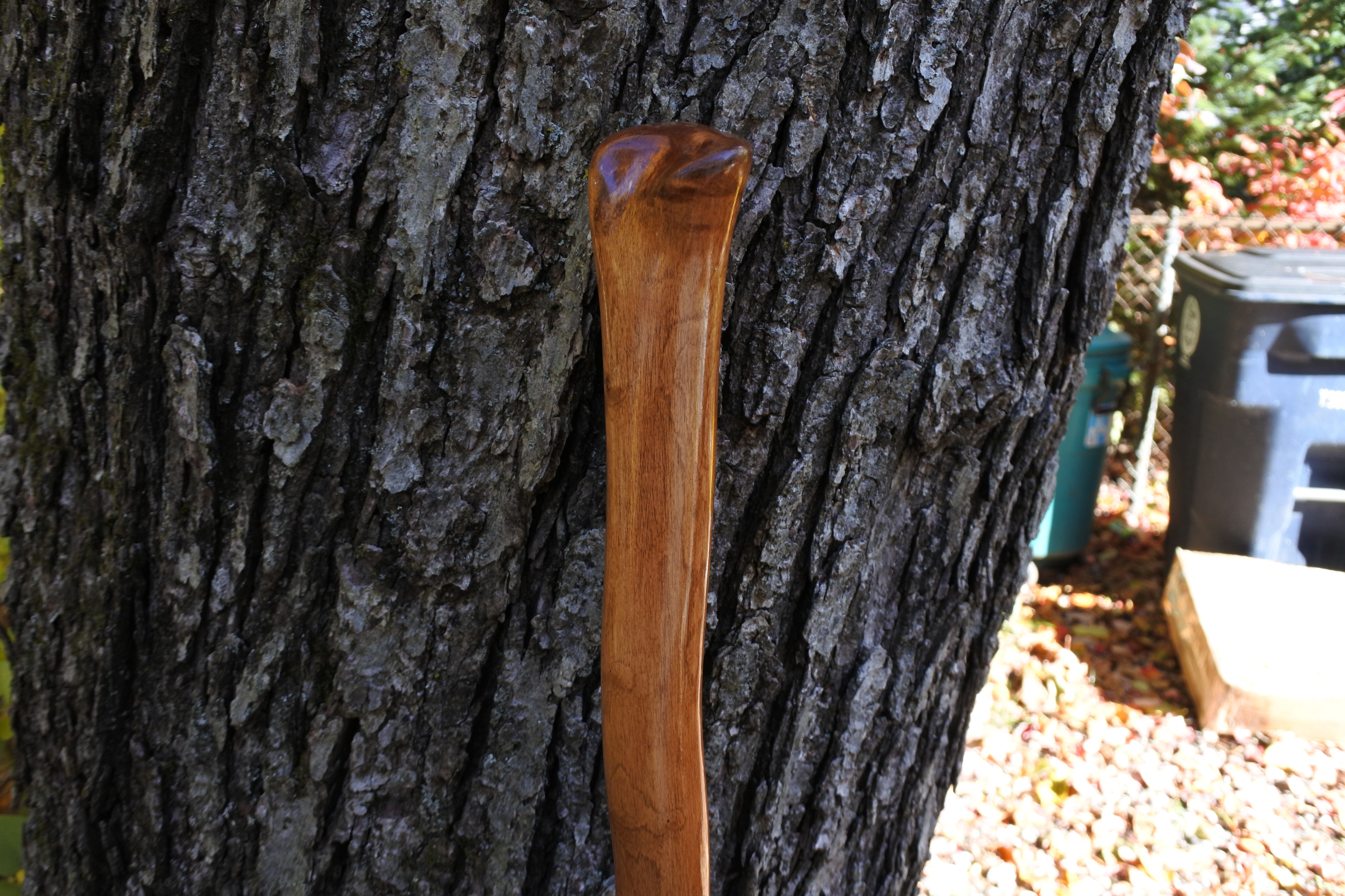 Walking Stick, Sugar Maple 55"