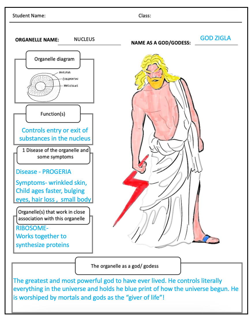 Thumbnail: PLANT AND ANIMAL CELL ORGANELLE ACTIVITY( PRINT & DIGITAL VERSION)