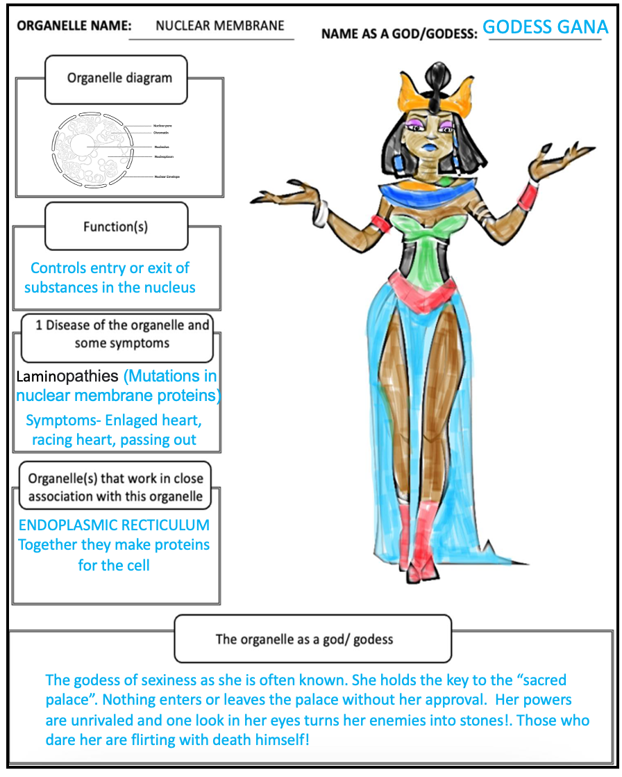 Thumbnail: PLANT AND ANIMAL CELL ORGANELLE ACTIVITY( PRINT & DIGITAL VERSION)