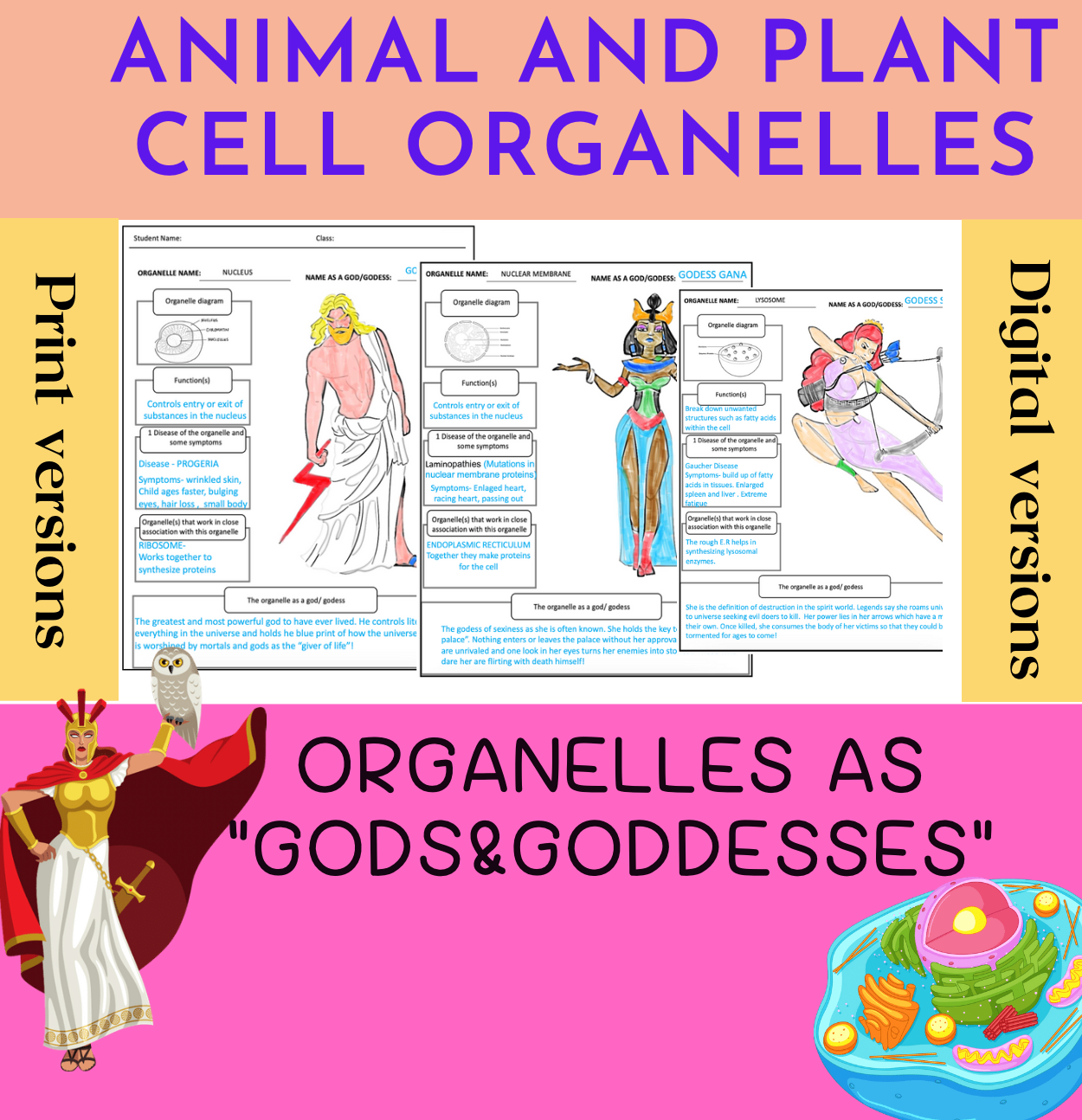 PLANT AND ANIMAL CELL ORGANELLE ACTIVITY( PRINT & DIGITAL VERSION)