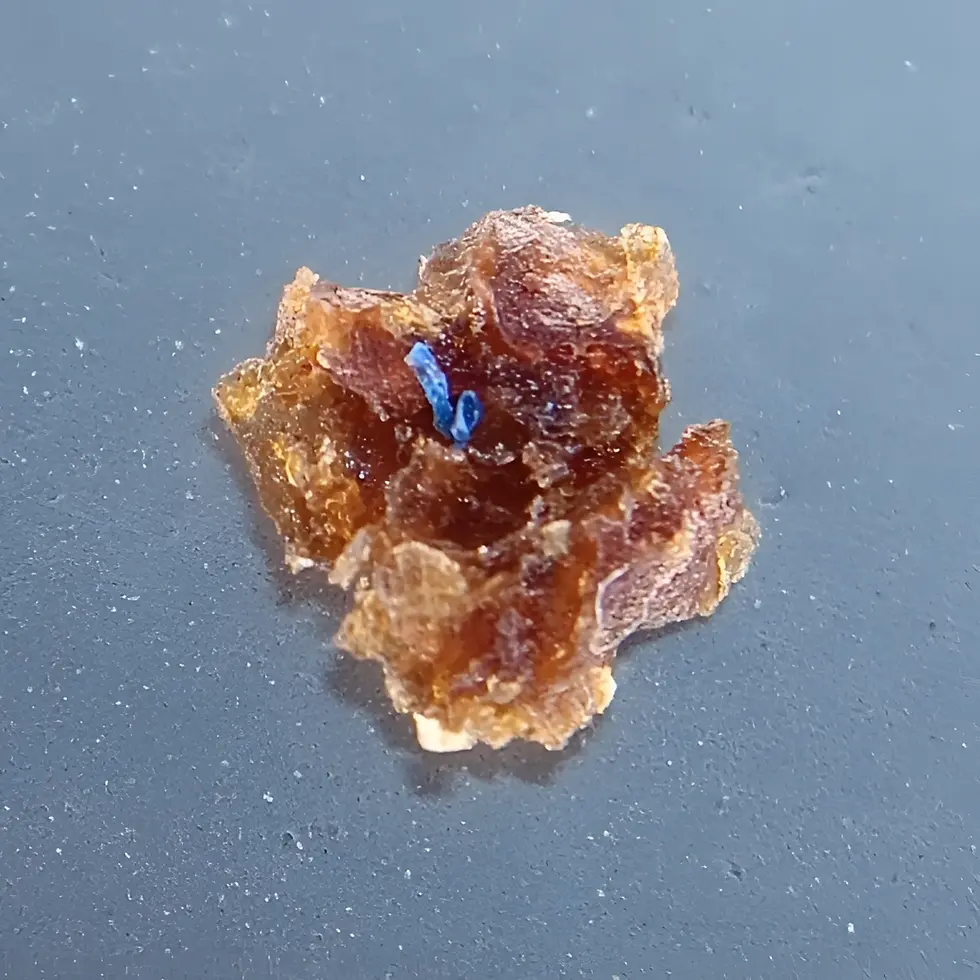 Southern Europe's Food Crisis: The Mysterious Blue Microplastic