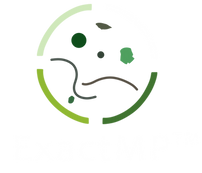 ExactMP trans bg.png