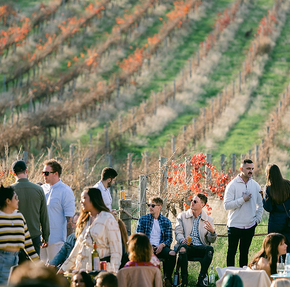 The Shiraz Bus Wine Tour