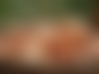 Discover Farm-Fresh Eggs at Mama & Moana