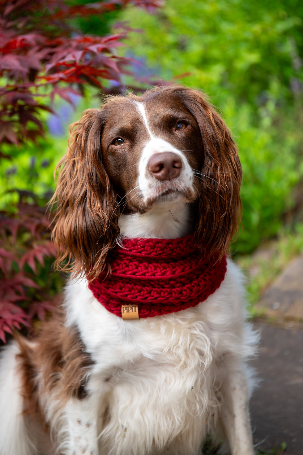 Thumbnail: Ready-Made Large Hawthorn Red Merino Wool Dog Snood