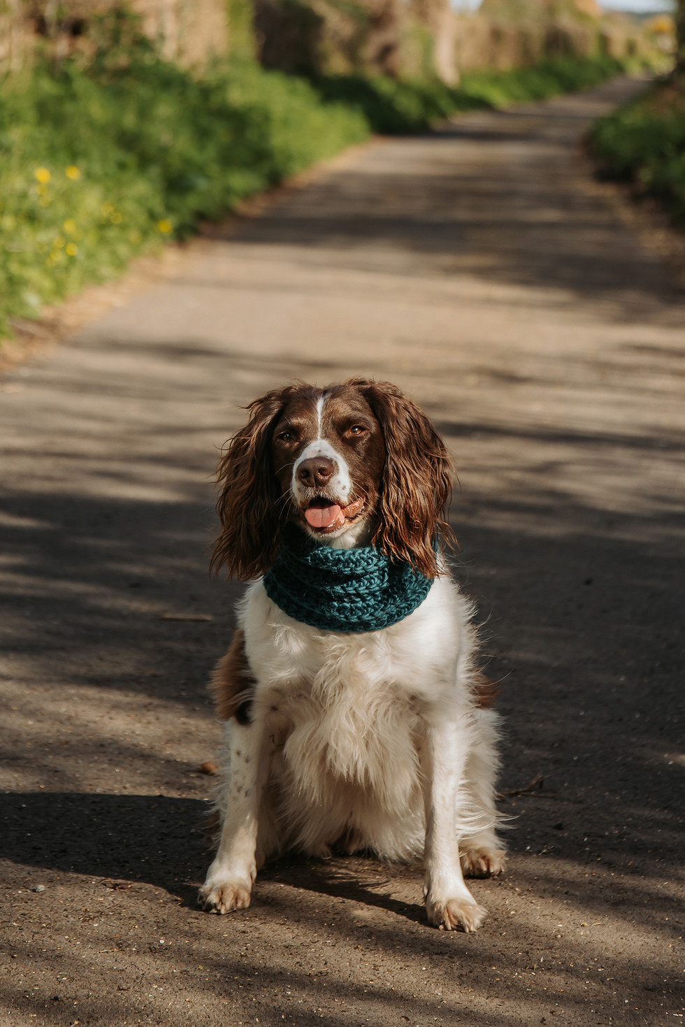 Thumbnail: Ready-Made Large Mallard Teal Merino Wool Dog Snood