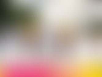 Rotathalon @ Expo 2020 Dubai Run