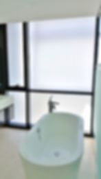 Frosted Privacy Film