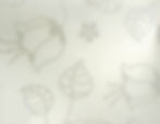 Decorative Window Film