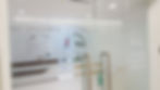 Frosted Privacy Film