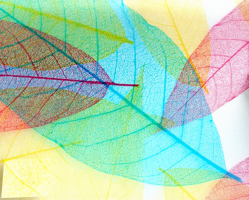 Decorative Window Film