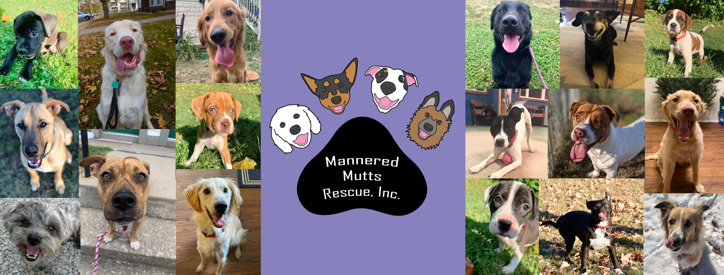 mutt rescue , inc