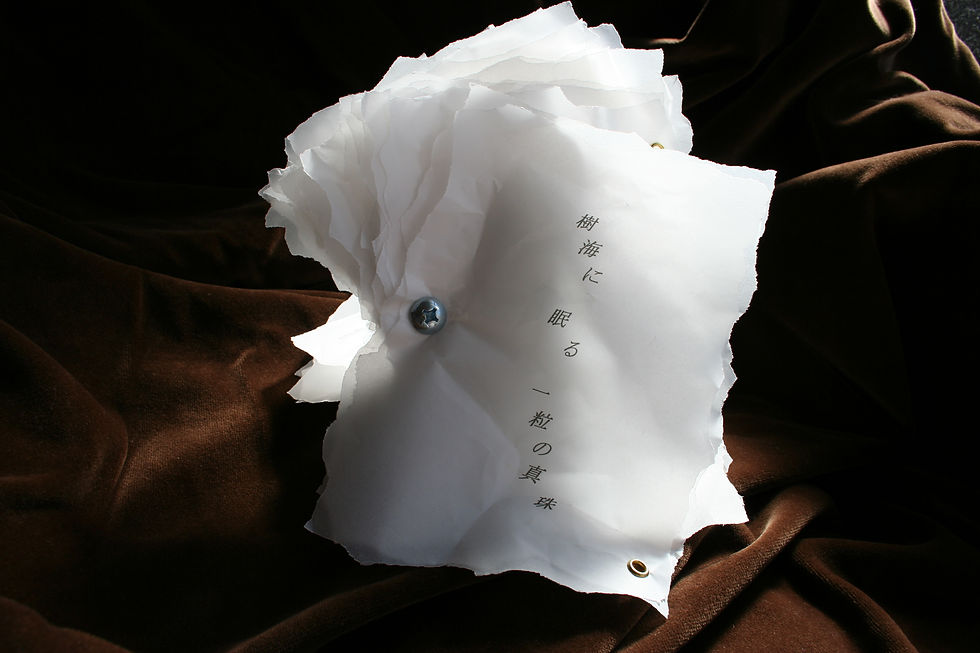 hod.vol.20artbook photo 013