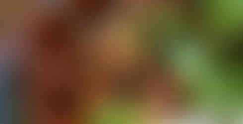 Sticky Pork Belly Noodle Soup Recipe