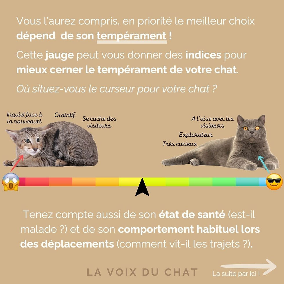 Vous l’aurez compris, en priorité le meilleur choix dépend de son tempérament !Cette jauge peut vous donner des indices pour mieux cerner le tempérament de votre chat. Tenez compte aussi de son état de santé (est-il malade ?) et de son comportement habituel lors des déplacements (comment vit-il les trajets ?).