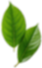 hkgca image3