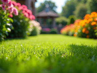 South East Green Care Solutions in Chislehurst