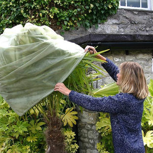 Essential Winter Garden Care in South East London: What to Do in December