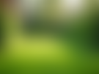 Enhance Your Greenspace with South East Green Care: Your Go-To Green Care Services