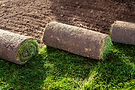 Stack of turf grass for lawn roll of sod, turf grass roll.jpg
