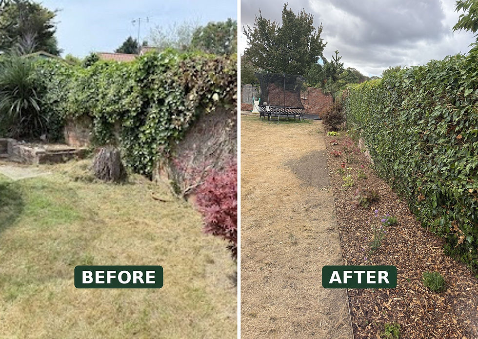 segc-garden-overhaul-before-after.jpg