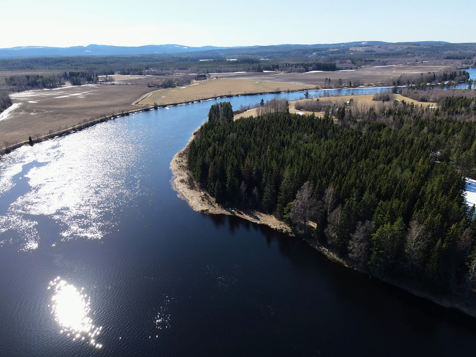 Day #5 - Västerdalälven