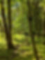 Gallows Hill RH 4.jpg