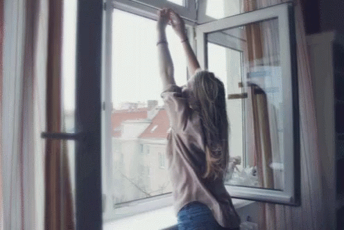wind in window.gif
