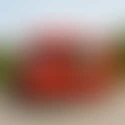 キッチンカー出店　お試しキャンペーン