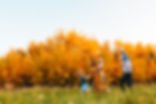 Edmonton-family-photographer-fall-christy-wells-photographer-best-time-for-photos-37.jpg