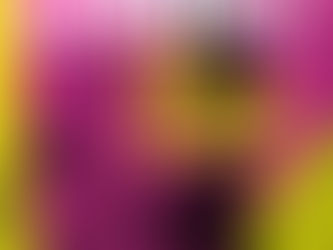 LEONARD PELTIER IS FINALLY FREE!